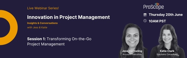Innovation in Project Management
