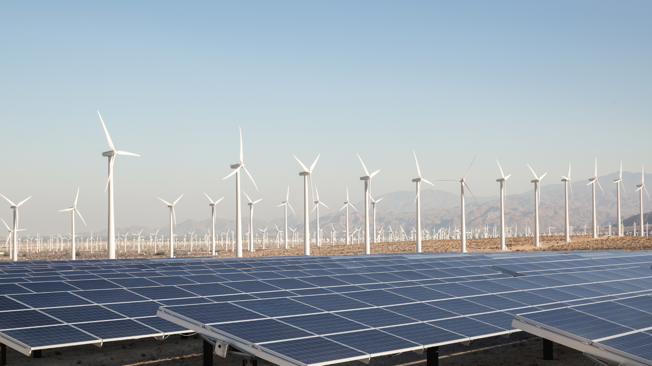Lanscape photograph with a light blue dusky sky taking up the top 50% in the background. In front of the sky is a wind farm with hundreds of white wind turbines, in front of those is a solar farm with at least 50 black solar panels.